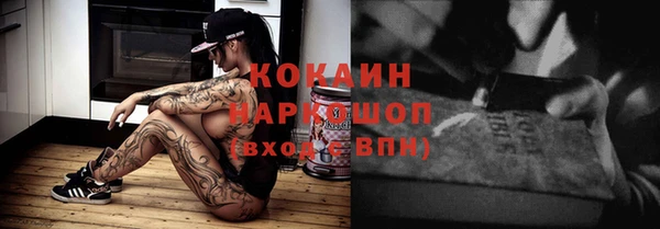 гидра Арсеньев