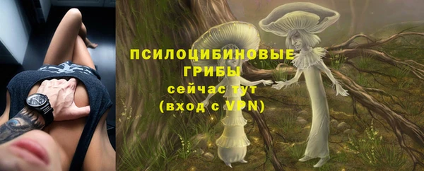 ешки Армянск