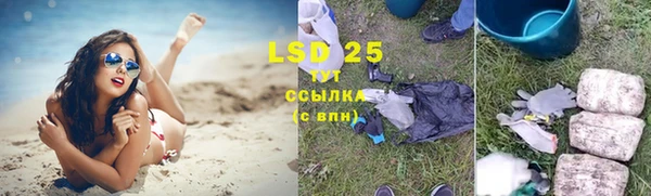 дживик Аркадак